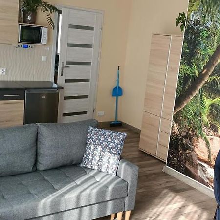 Apartamenty Modrzewiowe Tarasy Chojnice Dış mekan fotoğraf